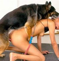 dyresex med hund