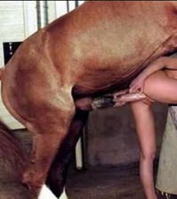 hest knepper kvinde dyresex