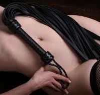 flogger BDSM pisk