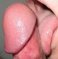 blowjob slikker pik billeder