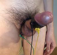 pik nosse tortur bdsm femdom