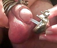 pikbur urinrør plug utheral